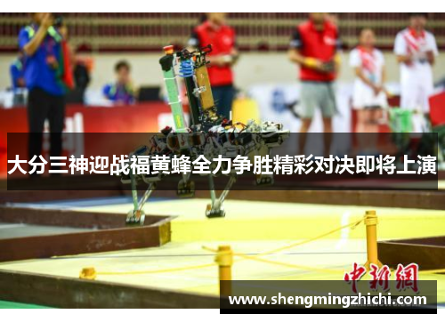 大分三神迎战福黄蜂全力争胜精彩对决即将上演