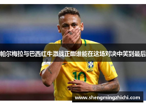 帕尔梅拉与巴西红牛激战正酣谁能在这场对决中笑到最后